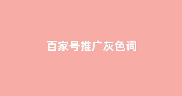 蜘蛛池软件seo公司